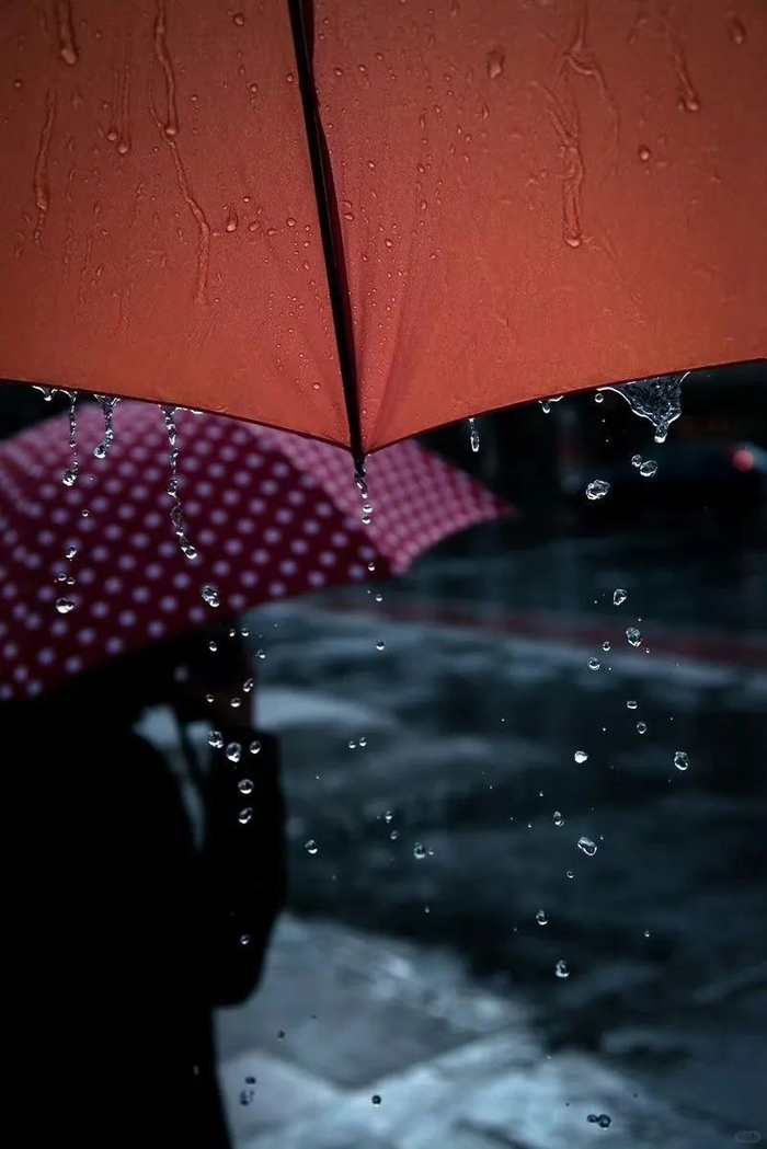 谁懂雨天独有的潮湿暧昧艺外