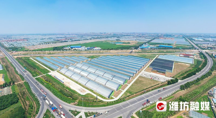寿光市丹河设施蔬菜标准化生产示范园(资料图)下步,寿光将大力实施"