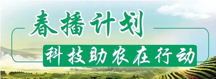 春播计划科技助农在行动培训送到家门口产业发展动力足