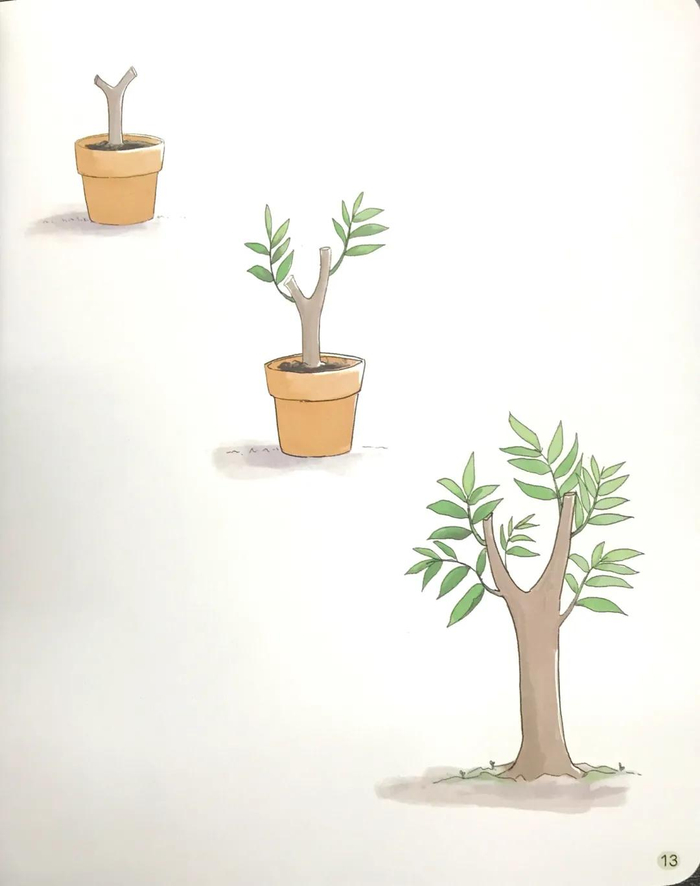 now the lychee tree is full of white flowers.