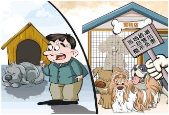 买来的宠物犬为何没活过一周记者调查星期宠售卖乱象