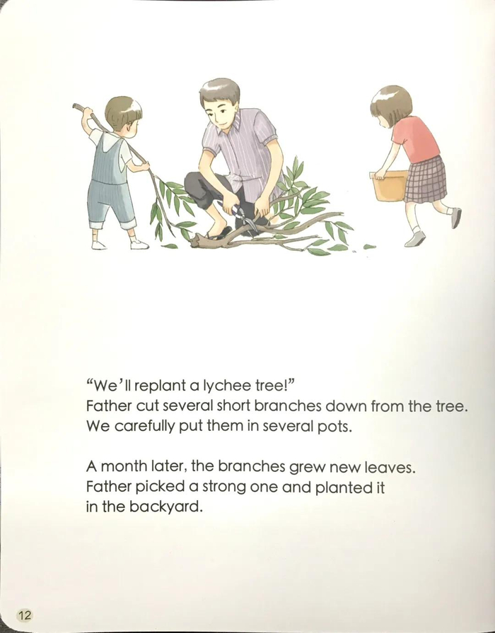 攀登英语分级阅读第六级 7 the lychee tree|荔枝|荔枝树|外婆_新浪