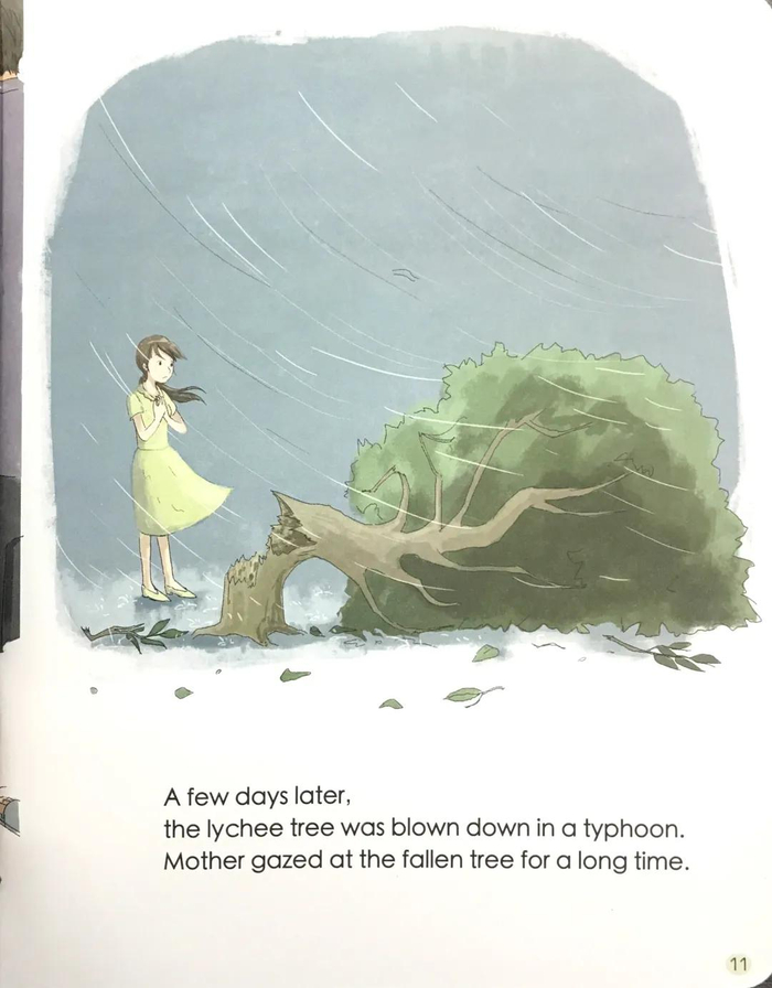 攀登英语分级阅读第六级 7 the lychee tree|荔枝|荔枝树|外婆_新浪