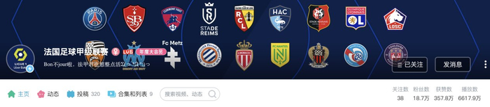 新logo,新赞助——更年轻的法甲还有更大的野心|法甲|法甲联赛|法国