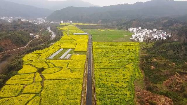 安徽祁门春日有约一路风景一起打卡春天里的中国春天的黄山市祁门县国
