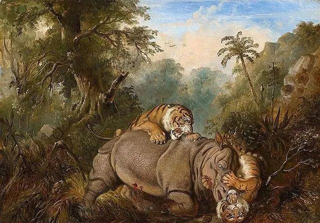 老虎能单杀成年犀牛吗?