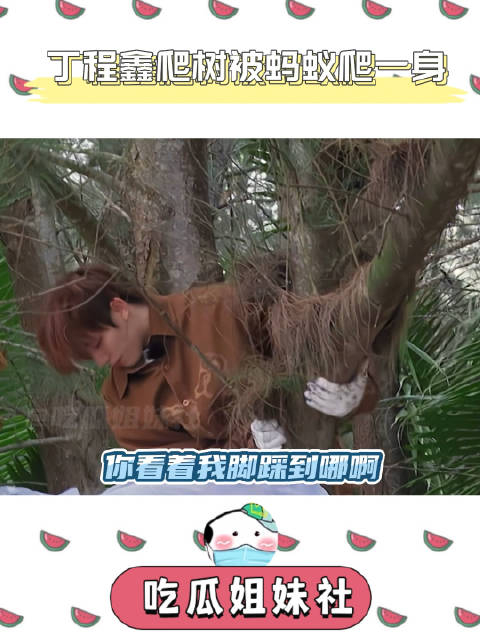 丁程鑫被蚂蚁爬满全身第一反应想的是蛋白质