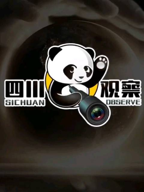 四川观察的logo你会喜欢吗品牌vi设计商标设计