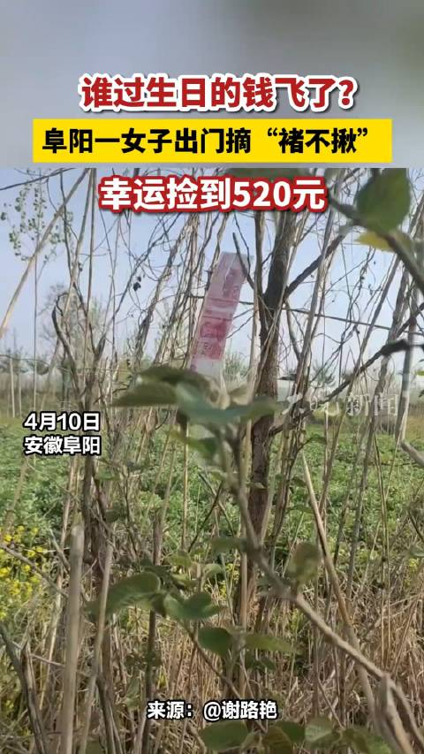 网友说这就是大风刮来的钱