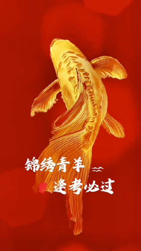 教资成绩发布转发接好运锦鲤附体