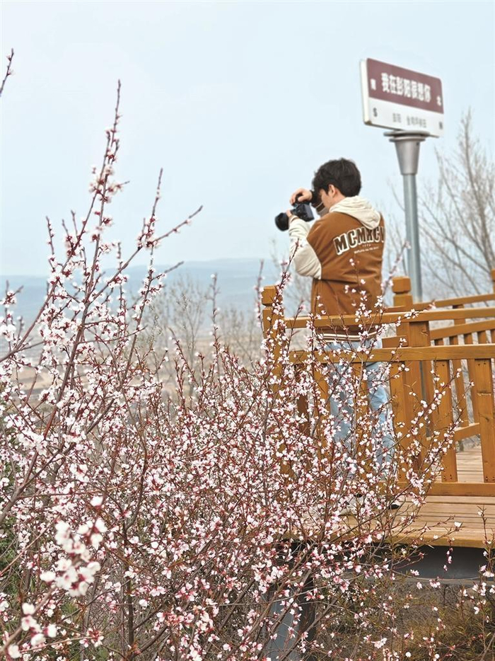 又到山花烂漫时似锦彭阳迎客来