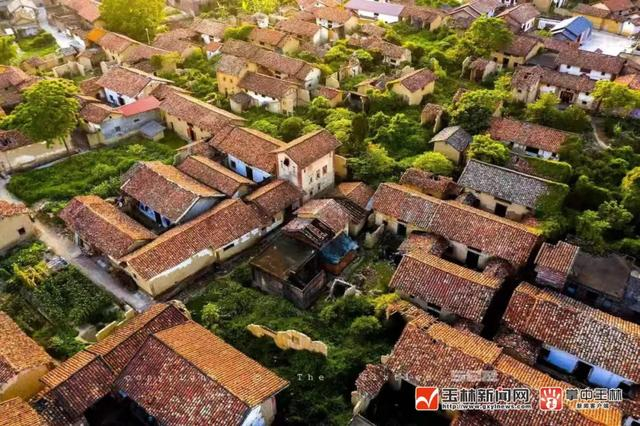 国家农业产业强镇玉林1