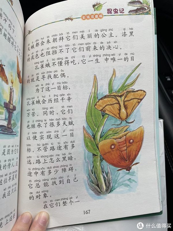 和娃一起读昆虫记之孔雀蛾