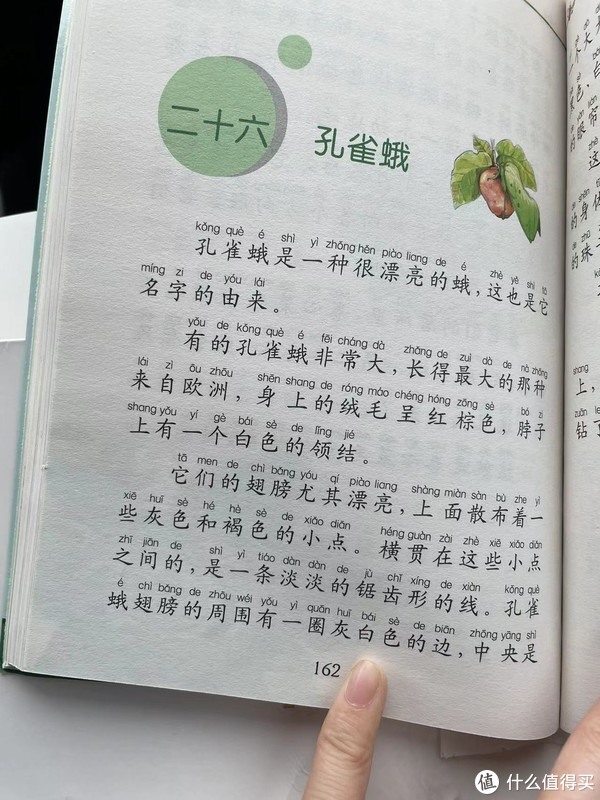 和娃一起读昆虫记之孔雀蛾