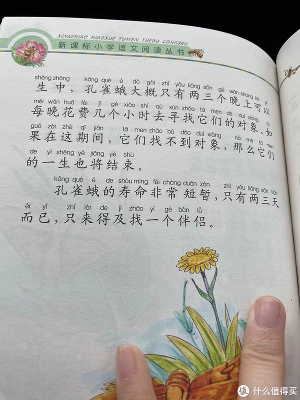 和娃一起读昆虫记之孔雀蛾