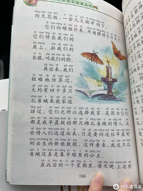 和娃一起读昆虫记之孔雀蛾