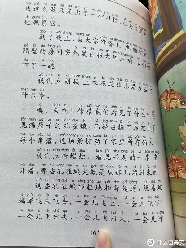 和娃一起读《昆虫记》之孔雀蛾