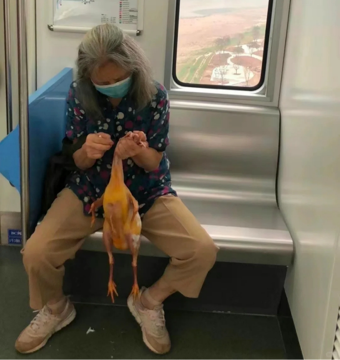 川渝人不信神,因为他们本身就很神|小红书|川渝|猫猫_新浪新闻