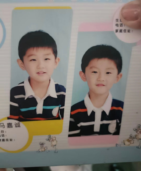 幼崽马嘉诚马嘉祺,好可爱的马大路马小路|路马|马大|幼崽_新浪新闻