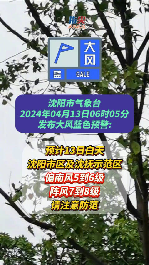 沈阳市气象台发布大风蓝色预警信号