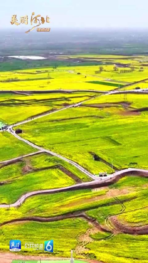 动海报美丽河北慢直播邢台沙河市红薯岭景区