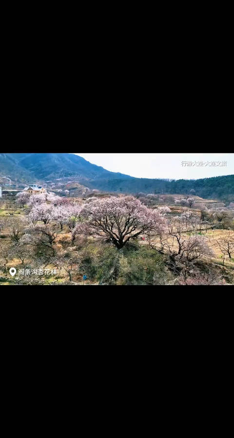 浪漫之都时尚大连