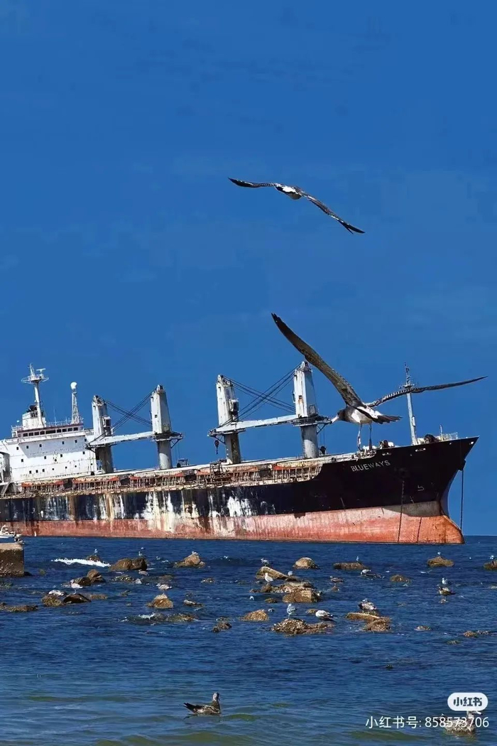 山东威海搁浅货轮成网红打卡地当一艘船搁浅之后灾难或许才刚刚开始