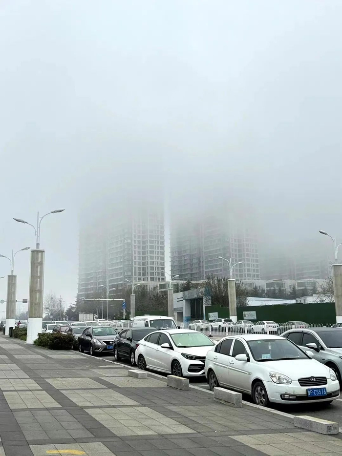 局部大雨或暴雨!山东天气大转折!这个周末,青岛有雾也有雨……__财经