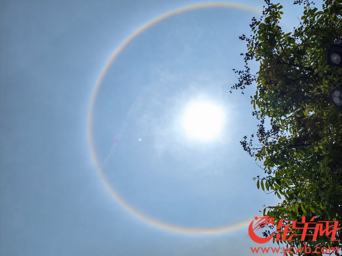 广东多地再现日晕,"日晕三更雨"之说科学吗?