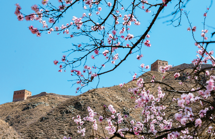 宫清华摄忻府区奇村镇井沟村游客踏青赏景享春光.