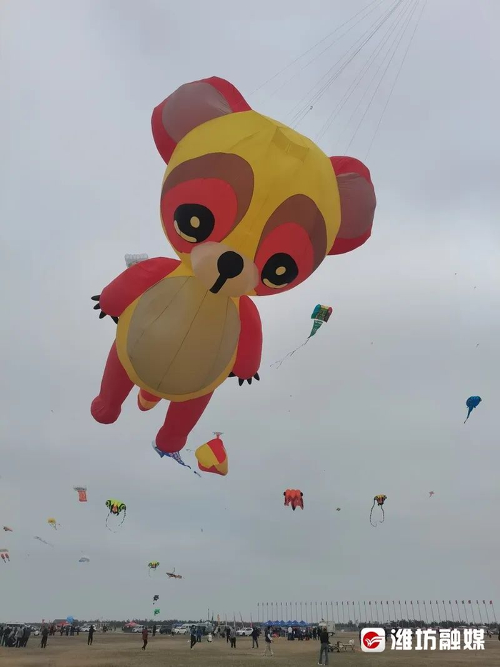 2024潍坊风筝大赛开赛|海绵宝宝|风筝|潍坊_新浪新闻