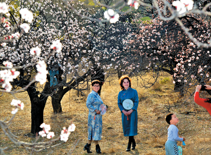 张存良摄五台县建安镇杏花盛开游人纷至沓来.