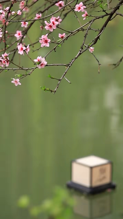 采菊东篱山水间,诗酒书茶伴流年|王维_新浪新闻