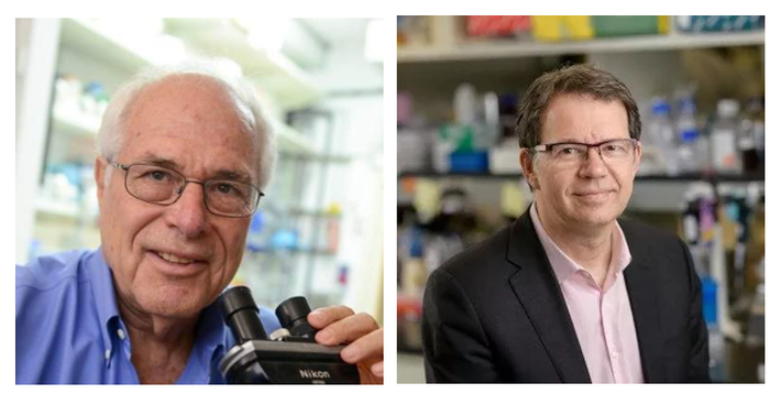 ▲Zelig Eshhar博士（左）与Michel Sadelain博士（右）