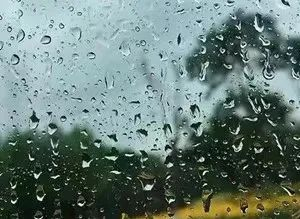 局部大雨或暴雨山东天气大转折这个周末青岛有雾也有雨