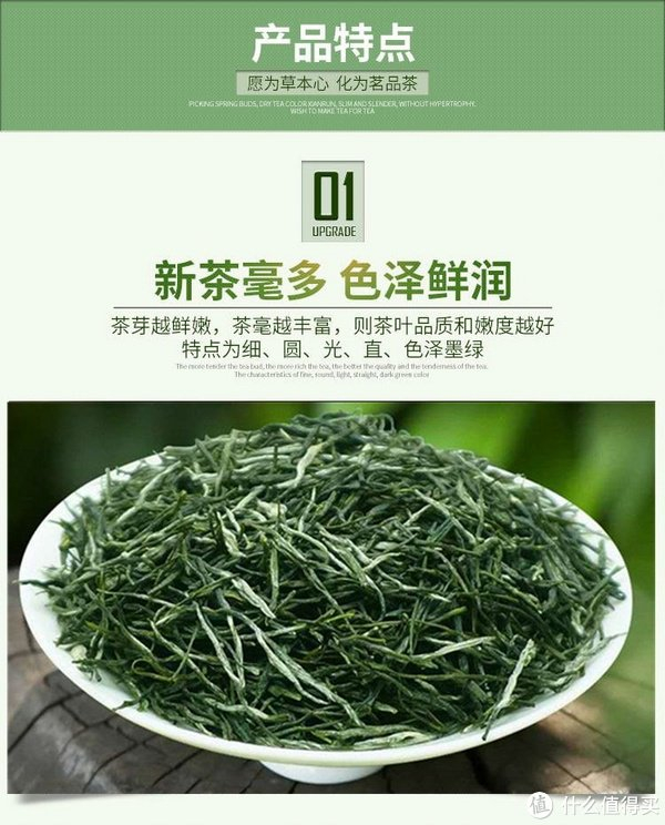 信阳毛尖茶你喜欢喝吗