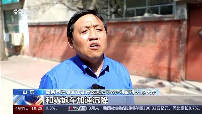 进入杨柳飞絮高发期如何科学治理泰安一地发布通告