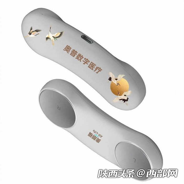 便携式健康数据采集终端