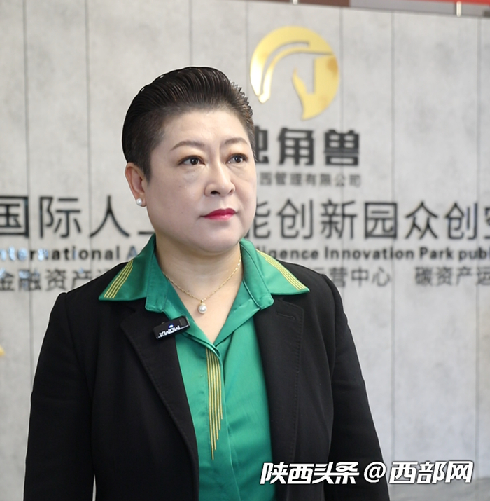 陕西瀚林控股集团有限公司董事长林颖