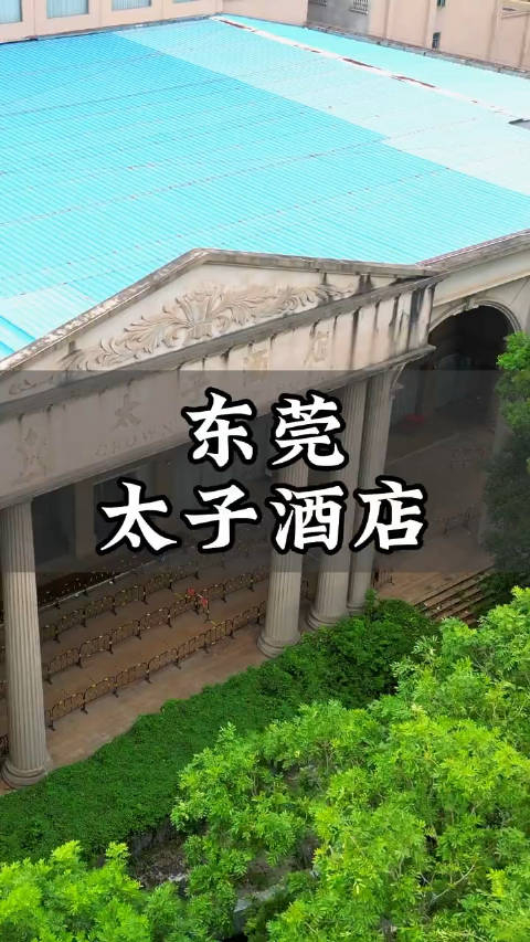 东莞太子酒店曾经名震天下美女豪车如云一场大雨如今已是杂草重生