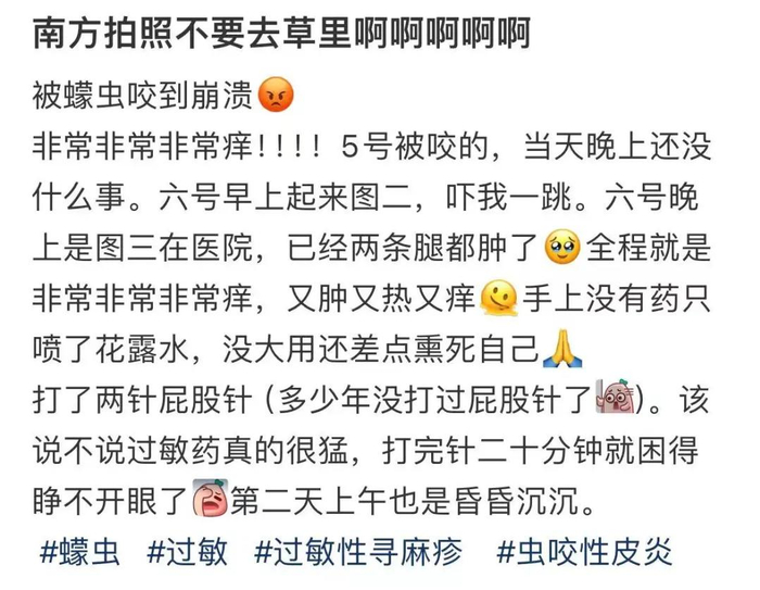 图源：小红书