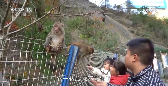 日照启动道路危化品运输安全整治行动