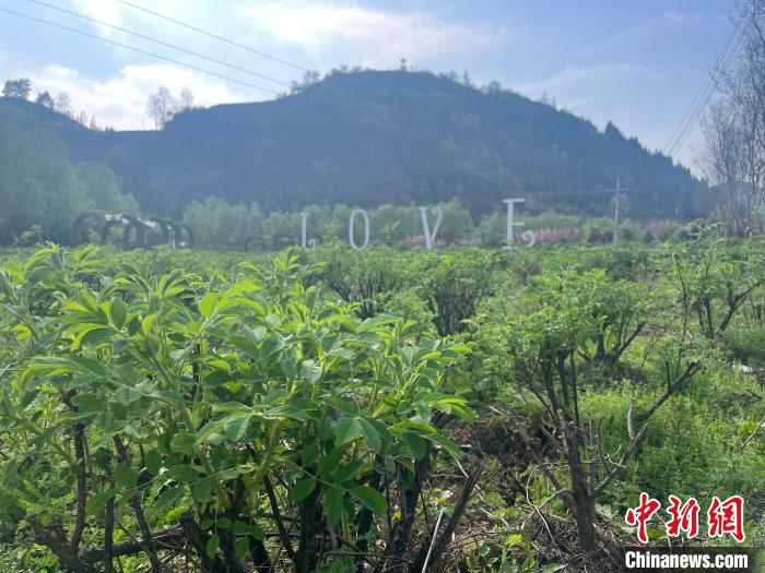 贵州农旅融合田园综合体助力民族特色村寨旅游产业发展