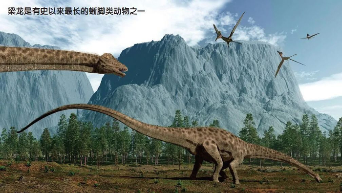 恐龙可能不像哺乳动物那样是恒温的,因此它们能够进化出庞大的体积而