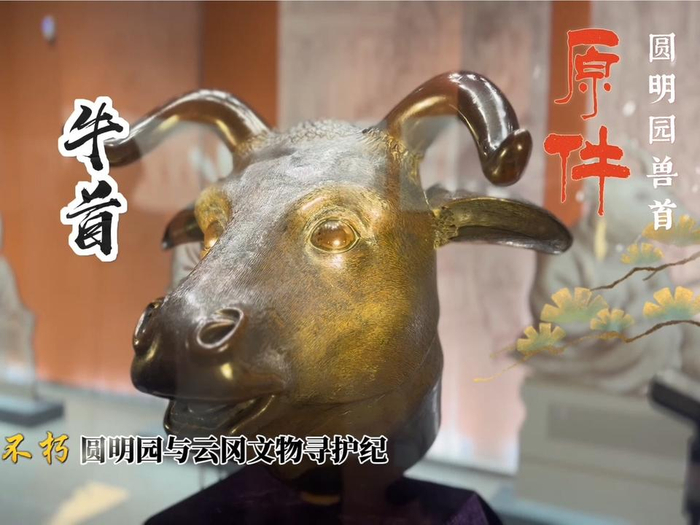 圆明园十二生肖兽首原件亮相大同市云冈石窟博物馆山西大同