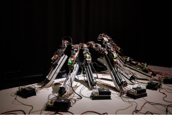 陈昭辰《savour》机械,金属,烟雾,激光等 150x100x200cm 2023翟宇辉