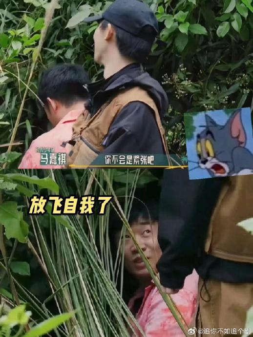 吴彤神级转场,杨迪允许你这样拍了吗|吴彤|杨迪_新浪新闻