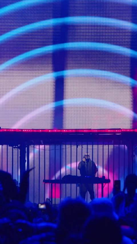 coachella科切拉没有响尾蛇但有一个djsnakeletmeloveyou