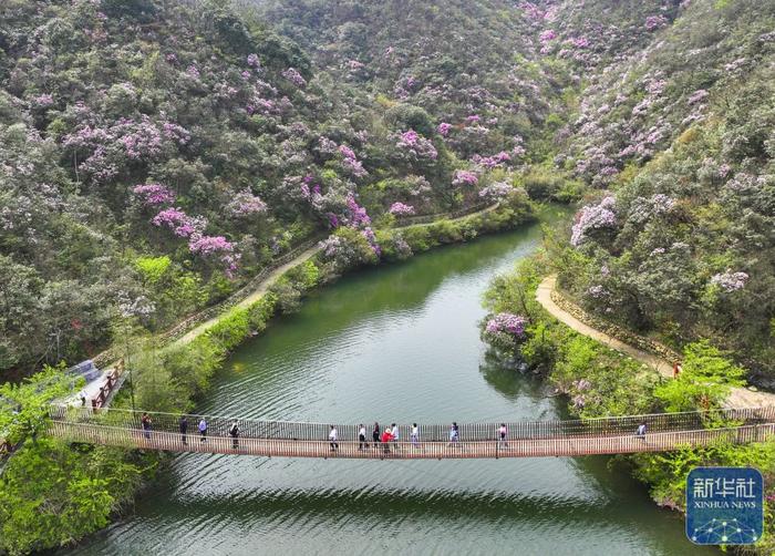 花海谷公园 简介图片