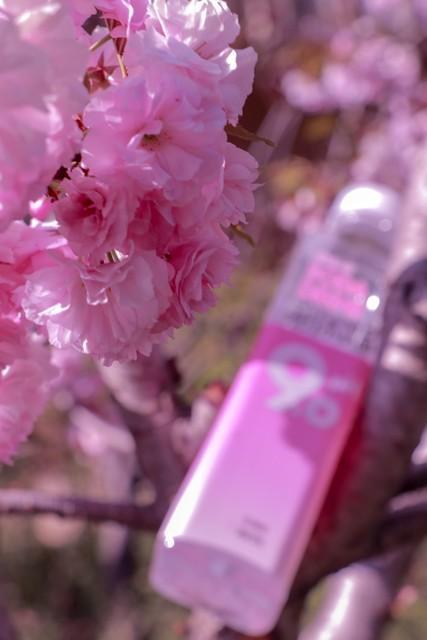 樱花美食走俏春日市场 里面真的含有樱花吗？